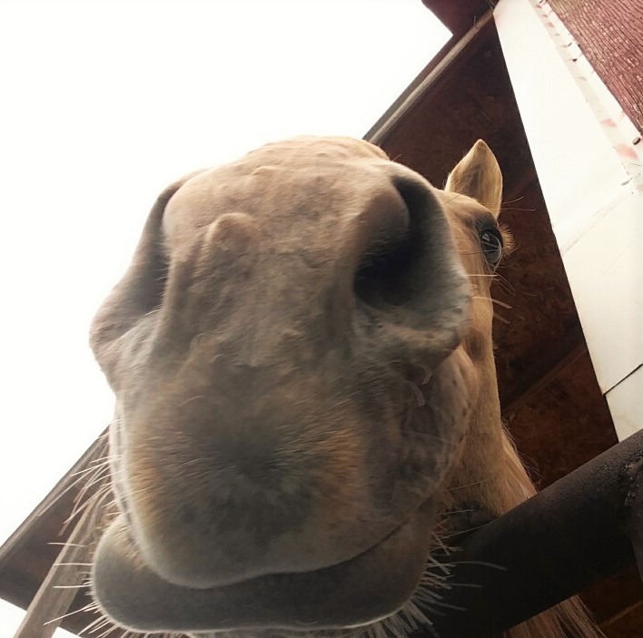 20160725_153612_resized